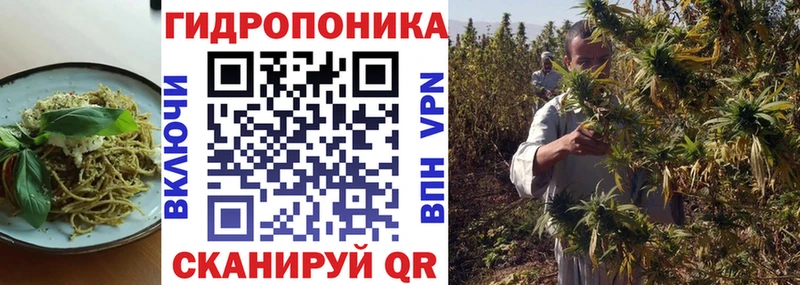 Canna-Cookies марихуана  Купить где  Красновишерск 