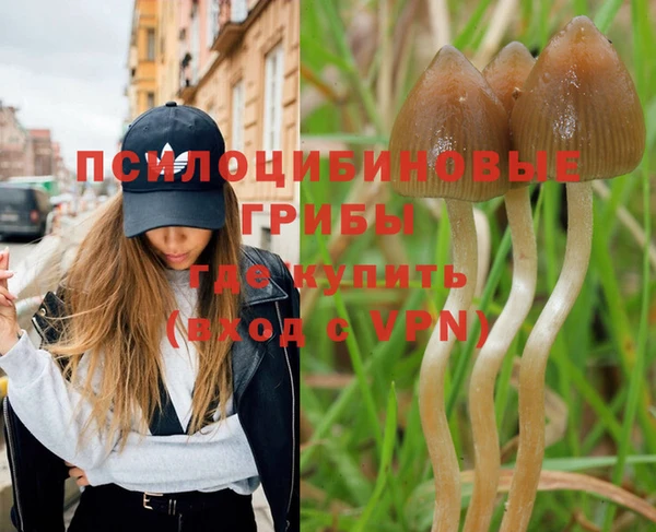 MDMA Premium VHQ Липки