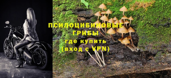 apvp Лихославль